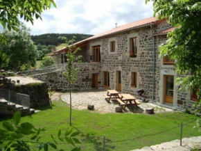 Maison de caractère avec grand terrain, proche d'Arlempdes, labels ECOGÎTE et Tourisme & Handicap - FR-1-582-118